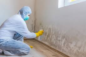 Best Comprehensive Air Testing for Mold Contaminants  in Twin Grove, IL