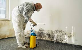 Best Commercial Mold Inspection  in Twin Grove, IL