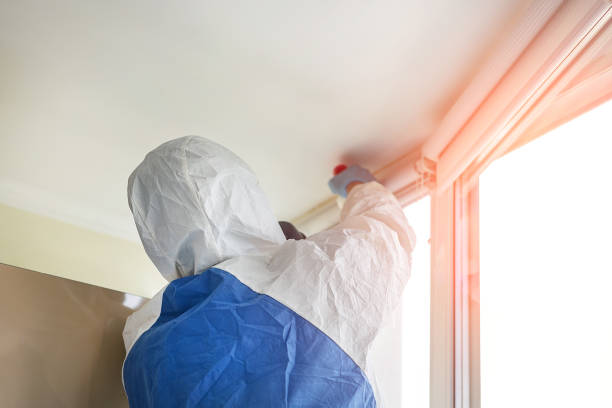 Best Biohazard Mold Removal  in Twin Grove, IL