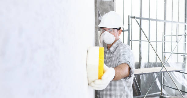 Mold Odor Removal Services in Twin Grove, IL