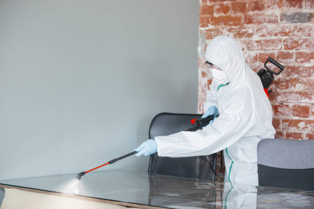 Best Forensic Mold Investigation  in Twin Grove, IL