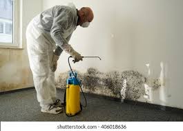 Best Residential Mold Inspection & Testing  in Twin Grove, IL